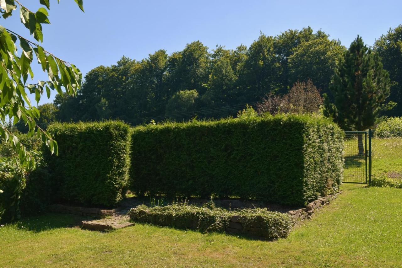 Superior - Ferienhaus Am Engelsbach Im Thueringer Wald 外观 照片