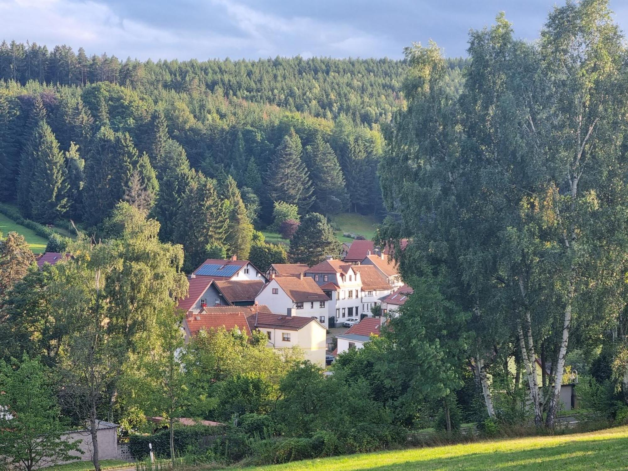 Superior - Ferienhaus Am Engelsbach Im Thueringer Wald 外观 照片